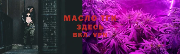 гашик Арсеньев