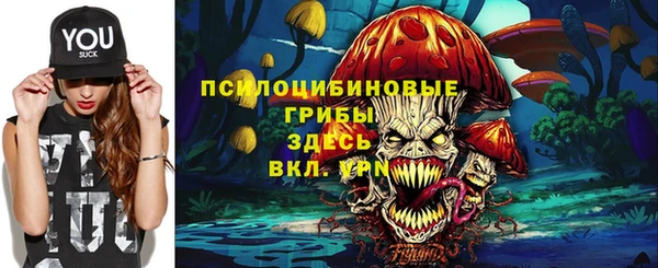 гашик Арсеньев