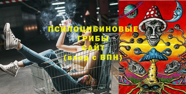 прущие крисы Аркадак