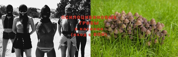 прущие крисы Аркадак